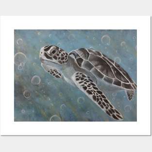 Sea Turtle Posters and Art